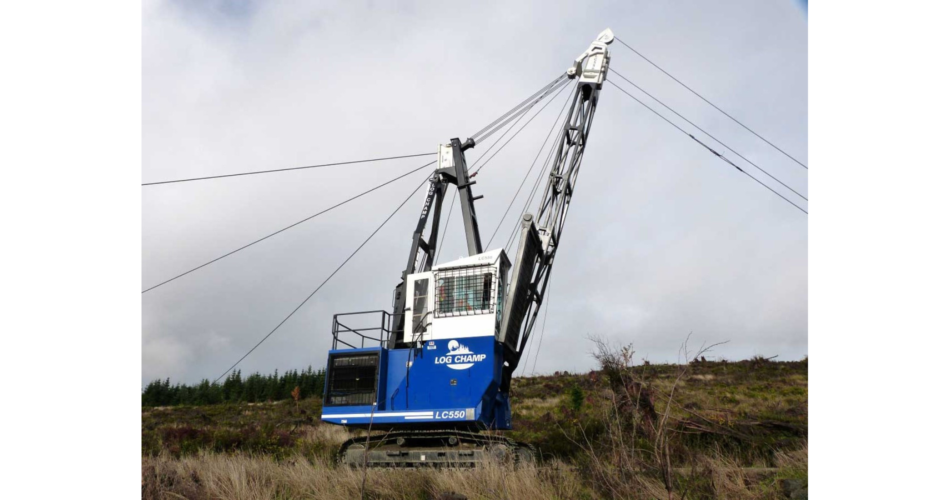 t-mar-log-champ-550-guylines